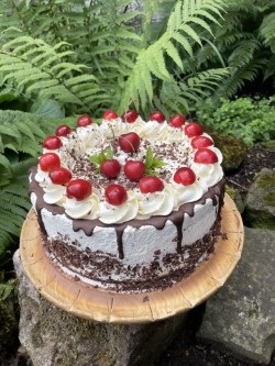 Peacock tearoom cake image